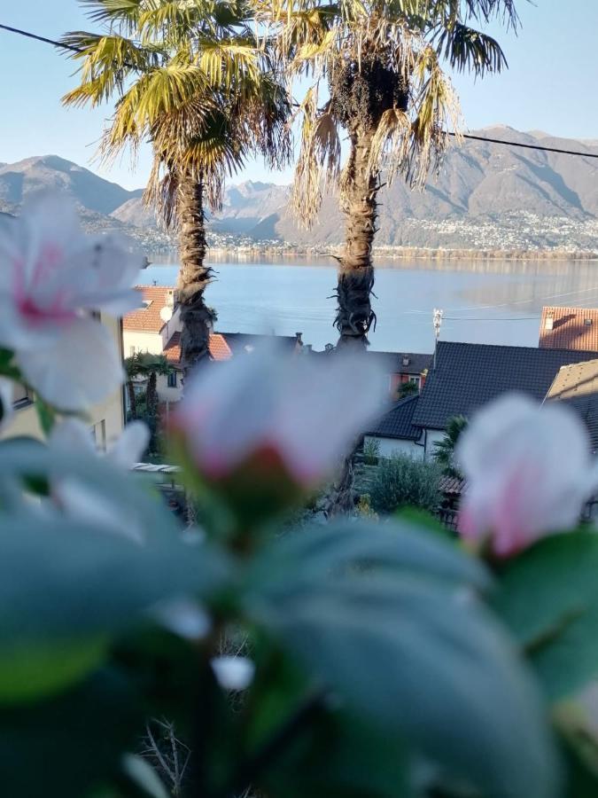 Albergo Ristorante Al Portico Gerra  Екстер'єр фото